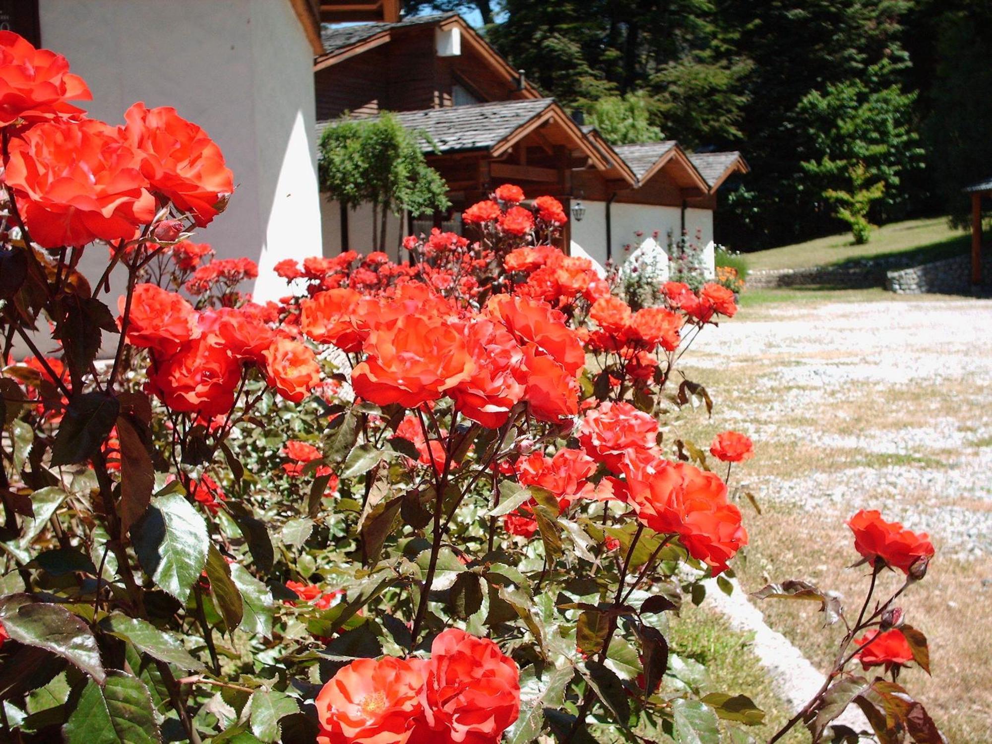 Hosteria El Condado Hotel San Carlos de Bariloche Exterior photo